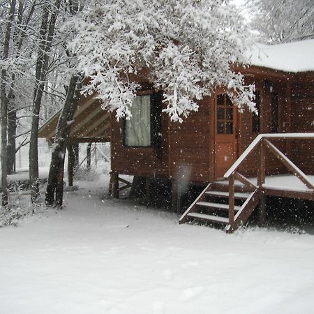 Cabanas Roble Quemado Las Trancas Exterior photo