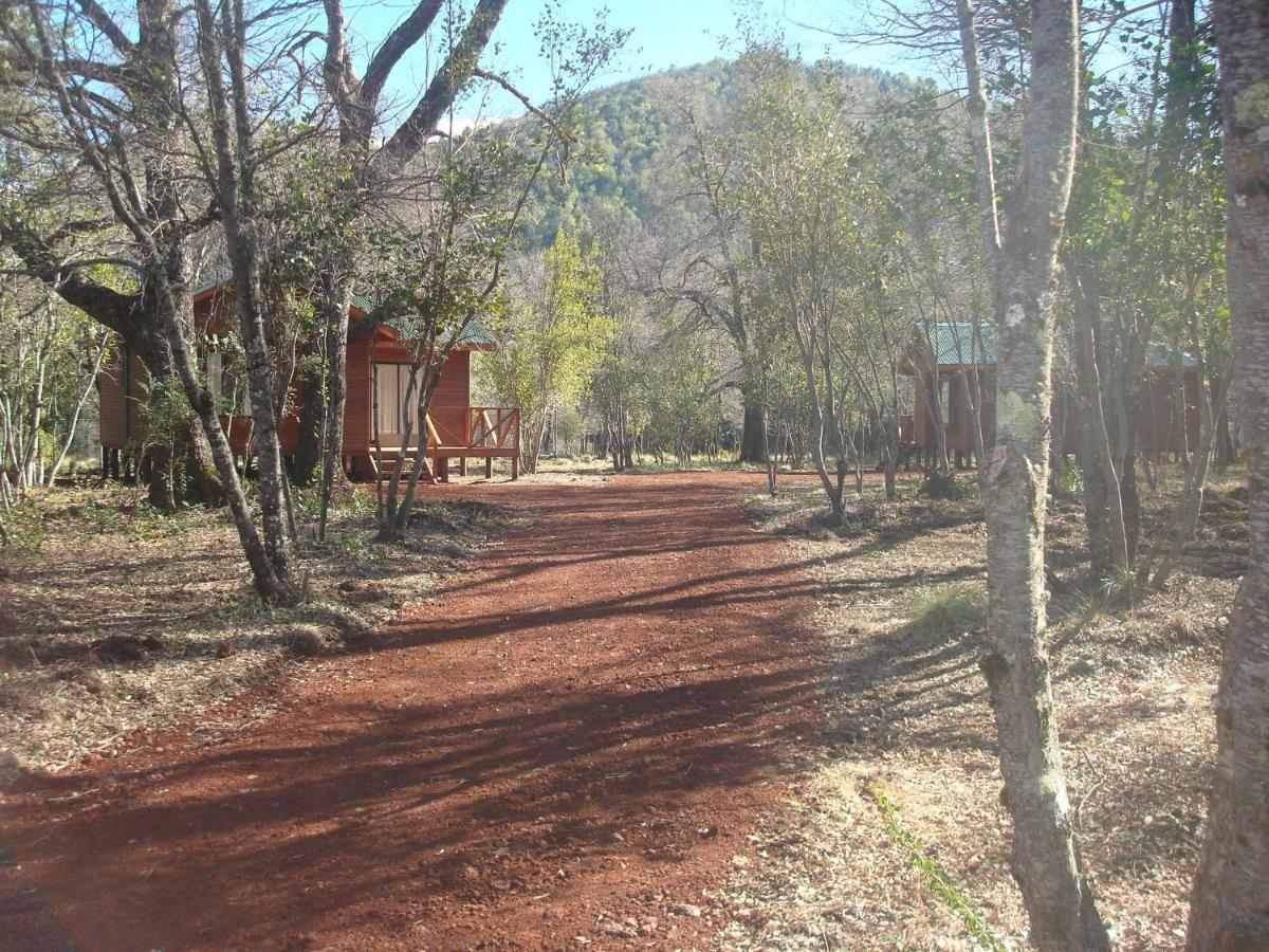 Cabanas Roble Quemado Las Trancas Room photo