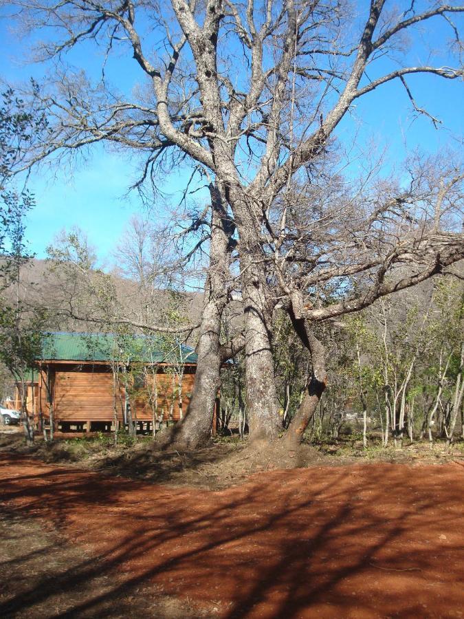 Cabanas Roble Quemado Las Trancas Room photo